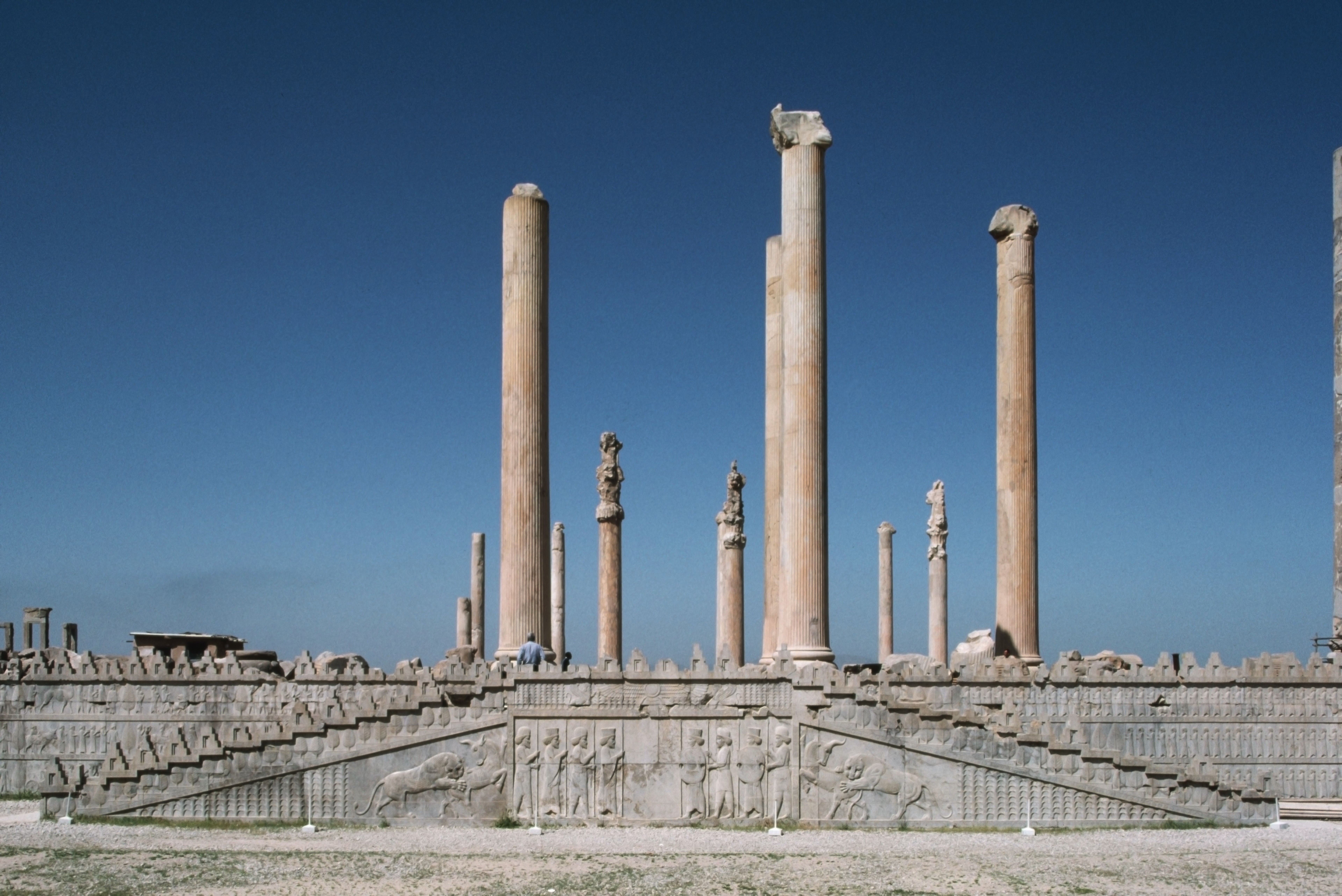 Persepolis essay